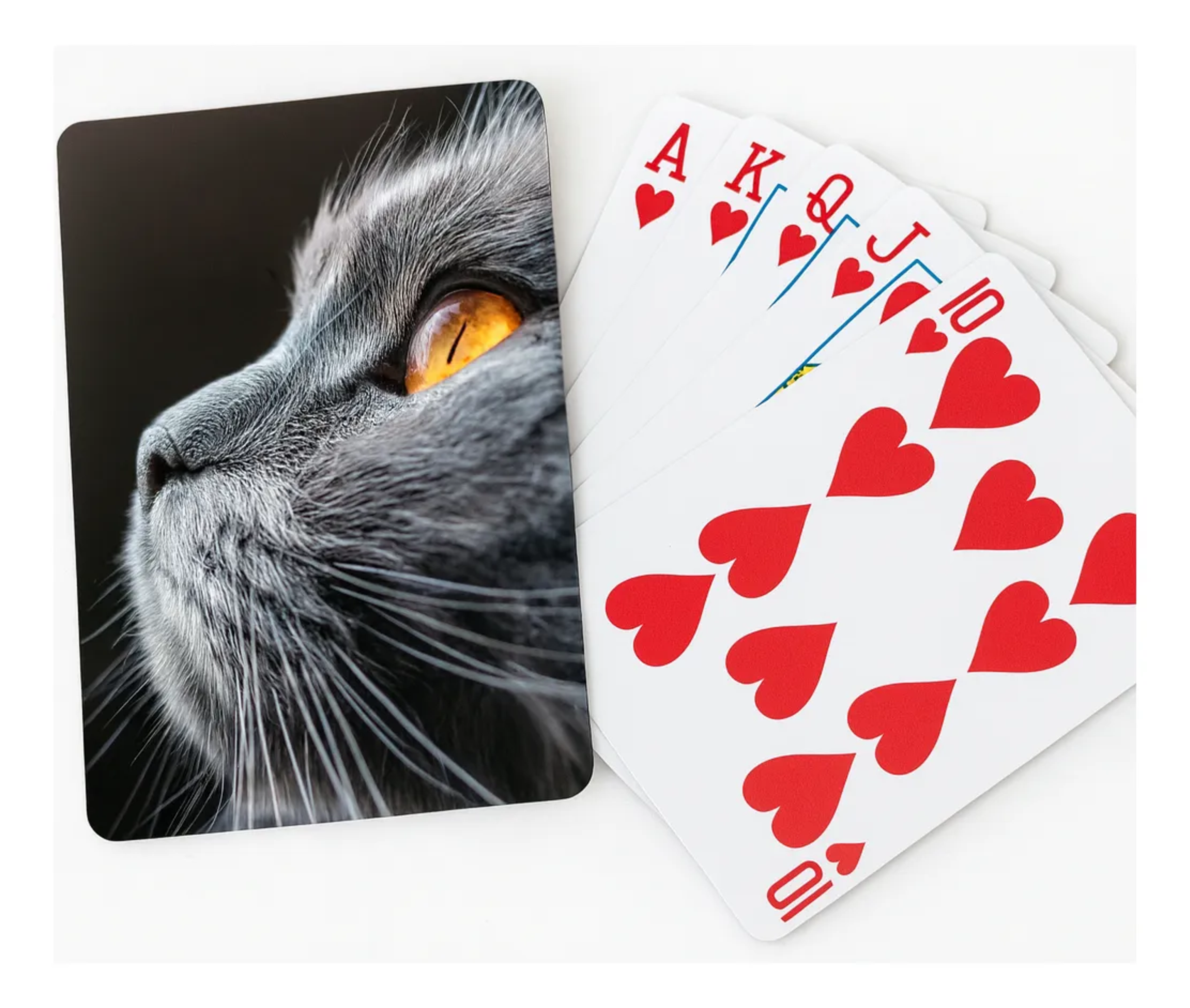 Kit 10 jogos de Baralhos Personalizados com Frente, Verso e Caixa Customizados – Papel 280g - Imagem 3